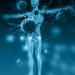 Alcohol Abuse And Liver Cancer - Do They Go Together? - Oren Zarif