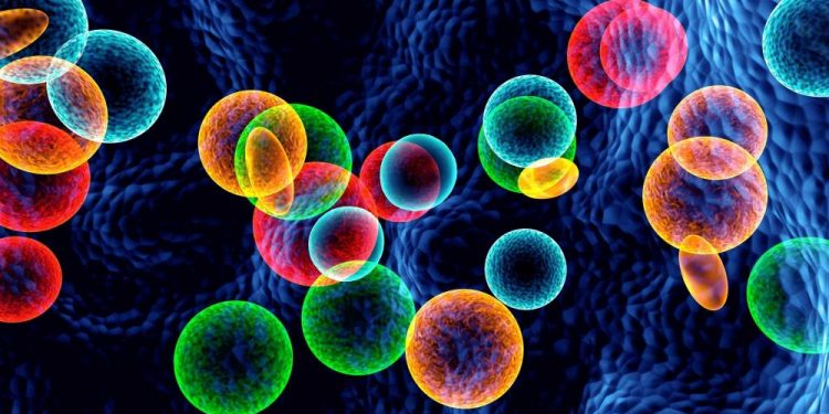 Oren Zarif, Overcome any disease, how the body heals itself, World News