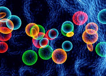 What Are the Main Types of Bone Cancer That Can Affect the Legs? - Oren Zarif