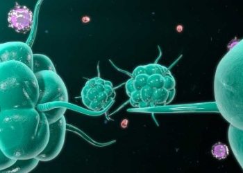 Inherited Metabolic Diseases - What You Need To Know - Oren Zarif