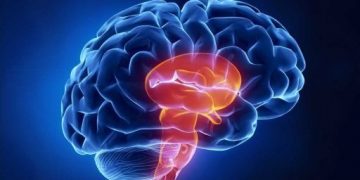 Oren Zarif, Overcome any disease, how the body heals itself, World News