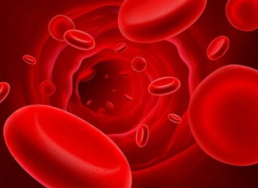 Oren Zarif, Overcome any disease, how the body heals itself, World News