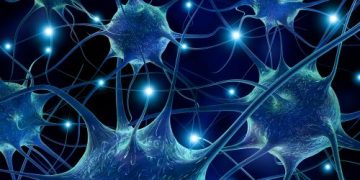 Types of Childhood Cancer - Oren Zarif