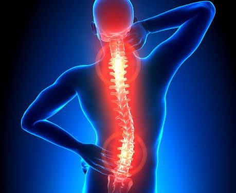 Oren Zarif, Overcome any disease, how the body heals itself, World News