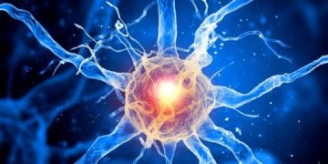 Identifying the Types of Cancers Commonly Experienced by Young Adults - Oren Zarif