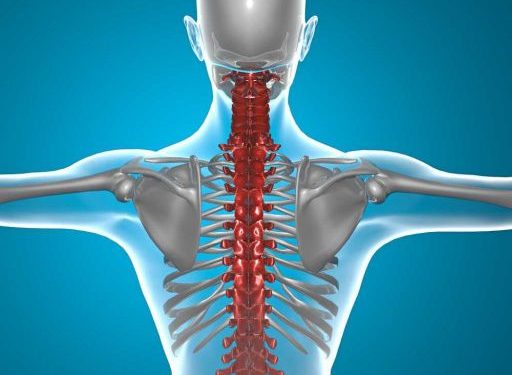 Oren Zarif, Overcome any disease, how the body heals itself, World News