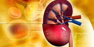 Oren Zarif, Overcome any disease, how the body heals itself, World News