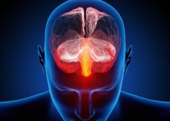 Oren Zarif, Overcome any disease, how the body heals itself, World News