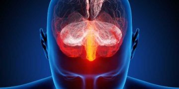 Oren Zarif, Overcome any disease, how the body heals itself, World News