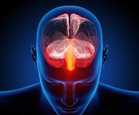 Oren Zarif, Overcome any disease, how the body heals itself, World News