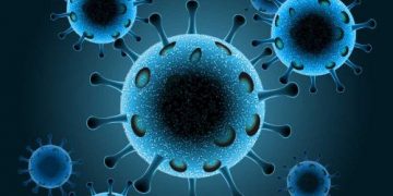 Risk Factors For Liver Cancer - How to Protect Against Liver Cancer - Oren Zarif