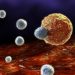 Find Out the Most Common Types of Cancers and Their Symptoms - Oren Zarif