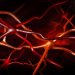 World News, Oren Zarif, psychokinesis, Overcome any disease, how the body heals itself