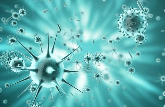 Know Your Types of Cancers - Oren Zarif