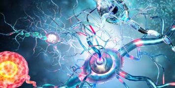 MS Symptoms And Causes: What Can You Do About Them? - Oren Zarif