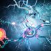 MS Symptoms And Causes: What Can You Do About Them? - Oren Zarif