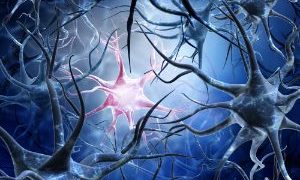 World News, Oren Zarif, psychokinesis, Overcome any disease, how the body heals itself