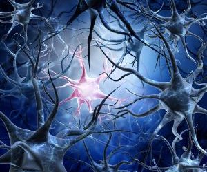 World News, Oren Zarif, psychokinesis, Overcome any disease, how the body heals itself