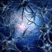 World News, Oren Zarif, psychokinesis, Overcome any disease, how the body heals itself