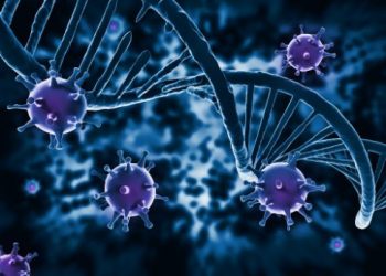 Types of Cancers - What You Need to Know - Oren Zarif