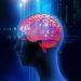 Stroke Symptom Warning Signs - Oren Zarif