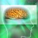 World News, Oren Zarif, Overcome any disease, how the body heals itself