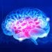 World News, Oren Zarif, Overcome any disease, how the body heals itself