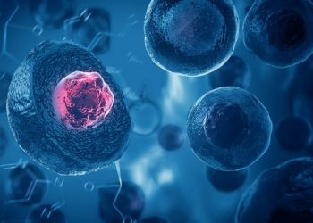 Different Types of Cancers That Occur in People - Oren Zarif