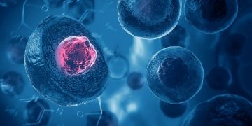 Different Types of Cancers That Occur in People - Oren Zarif