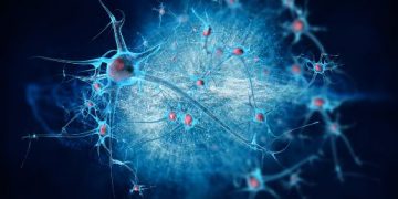 MS Symptoms To Watch Out For - Oren Zarif