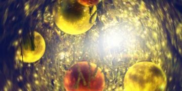 Common Types of Cancer That Are Found Among the Elderly - Oren Zarif