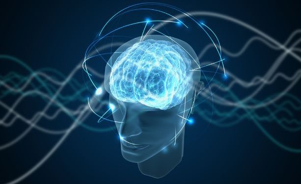 World News, Oren Zarif, Overcome any disease, how the body heals itself