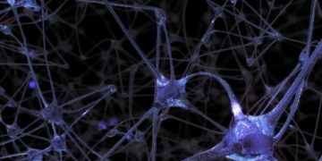 World News, Oren Zarif, psychokinesis, Overcome any disease, how the body heals itself