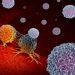 The Most Common Types of Cancers - Oren Zarif