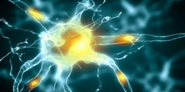 What Are the Early Signs of MS? - Oren Zarif