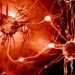 World News, Oren Zarif, psychokinesis, Overcome any disease, how the body heals itself