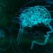 Stroke Symptoms That You Should Be Aware Of - Oren Zarif