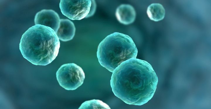 Common Cancers Affecting Adolescent People - Oren Zarif