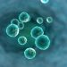 Common Cancers Affecting Adolescent People - Oren Zarif