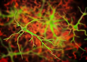 World News, Oren Zarif, psychokinesis, Overcome any disease, how the body heals itself