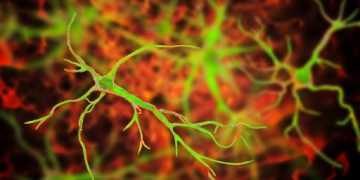 World News, Oren Zarif, psychokinesis, Overcome any disease, how the body heals itself