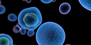 Types of Cancers That Occur in Older Adults - Oren Zarif