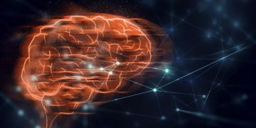 Stroke Symptoms You Should Be Aware Of – Oren Zarif