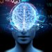 Stroke Symptoms - What to Look For When Diagnosing Stroke - Oren Zarif