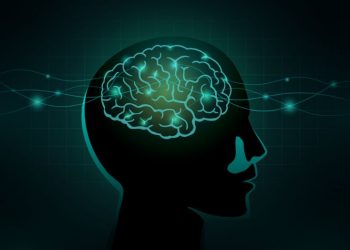 Stroke Symptom: Symptoms of Stroke and Signs You Need to Be Aware of - Oren Zarif