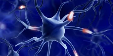 MS Symptoms in the General Population - Oren Zarif