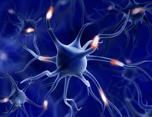 MS Symptoms in the General Population - Oren Zarif