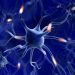 MS Symptoms in the General Population - Oren Zarif