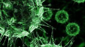 How to Know What Type of Cancers You Have and How to Handle Them - Oren Zarif