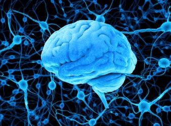 Stroke Symptoms – What Is the Most Common Stroke Symptoms? – Oren Zarif